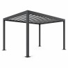 Pergola carport en acier, vue studio